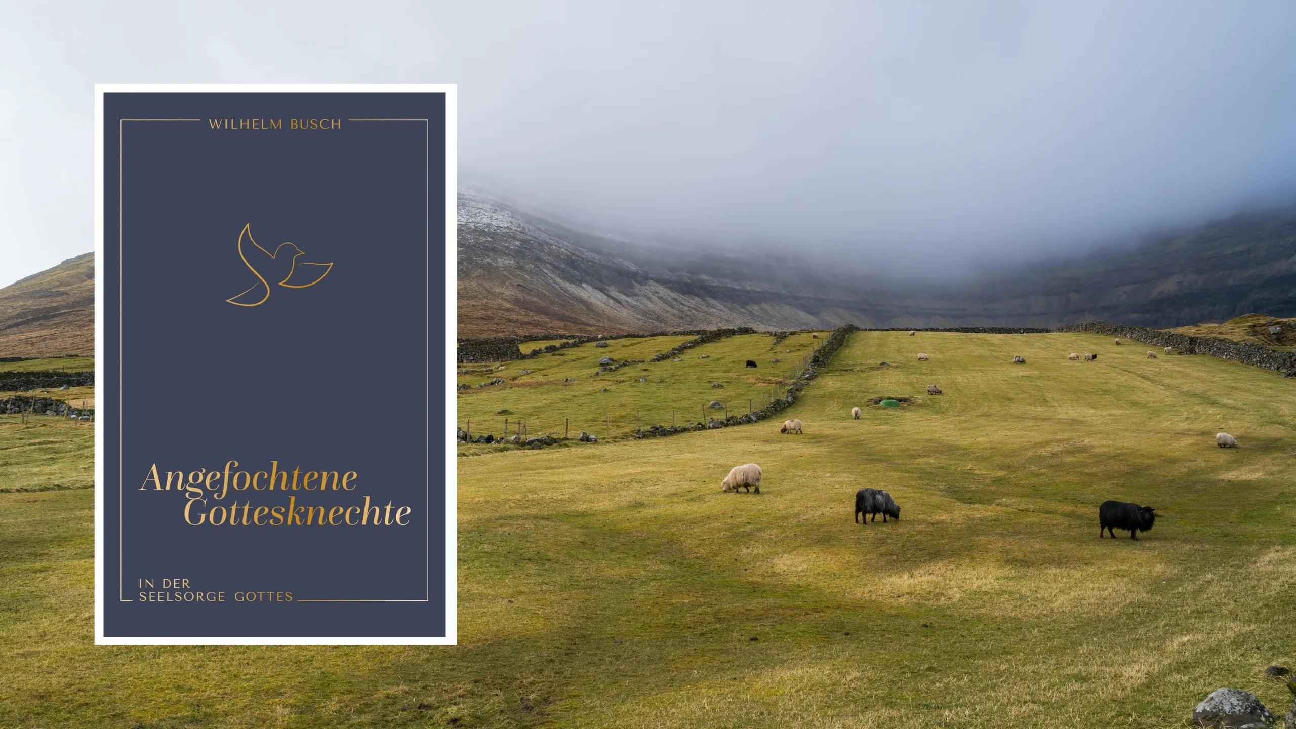 Wilhelm Busch: Angefochtene Gottesknechte - In der Seelsorge Gottes