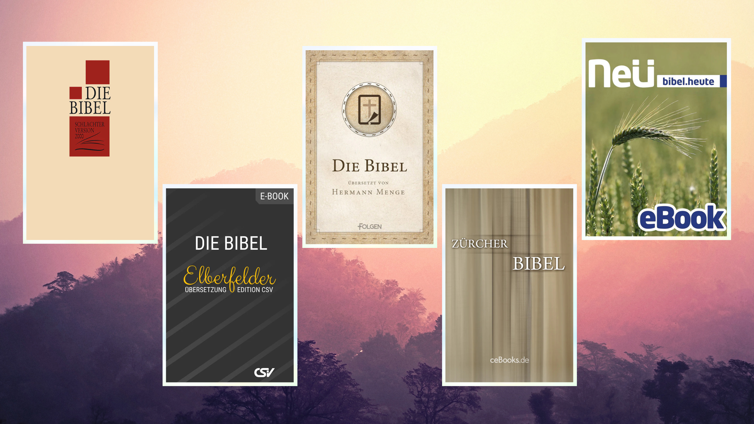 5 empfehlenswerte Bibelübersetzungen