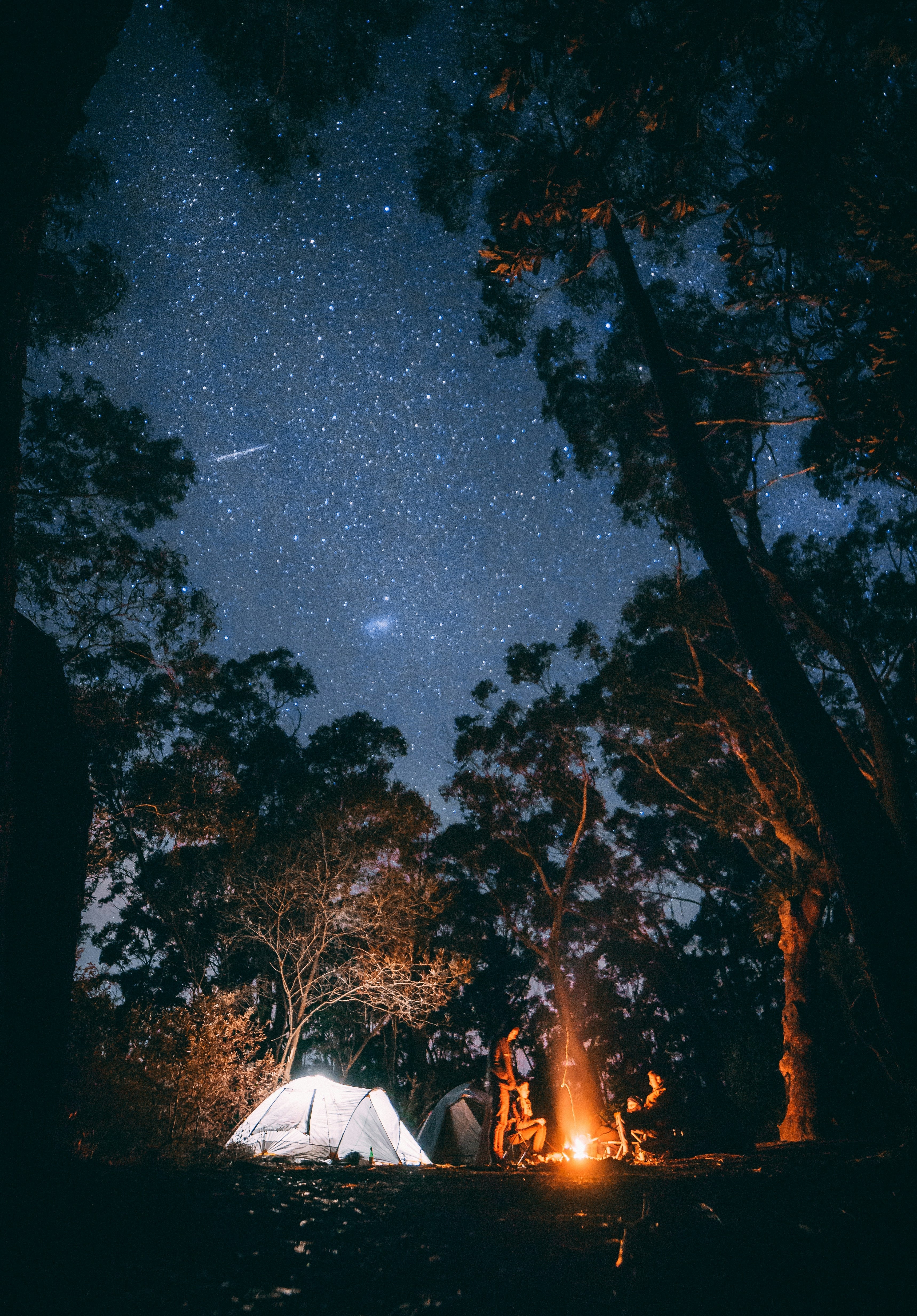 Die Abenteuerreise