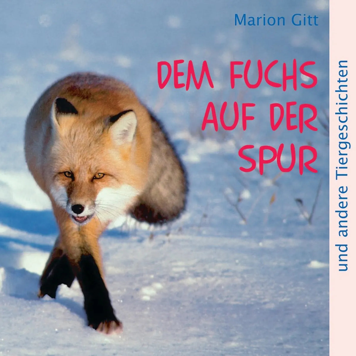 Dem Fuchs auf der Spur (Hörbuch) MP3-Download