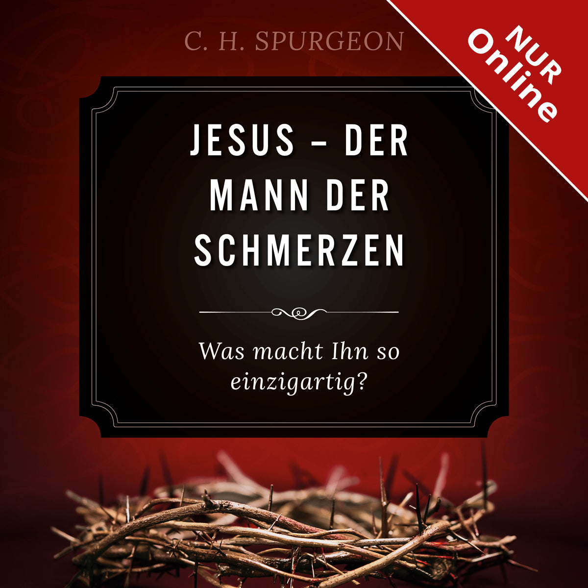 Jesus - Der Mann der Schmerzen (Hörbuch) MP3-Download