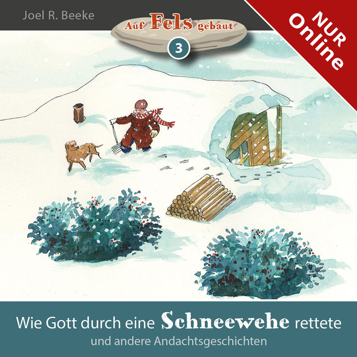 Wie Gott durch eine Schneewehe rettete (Hörbuch) MP3-Download