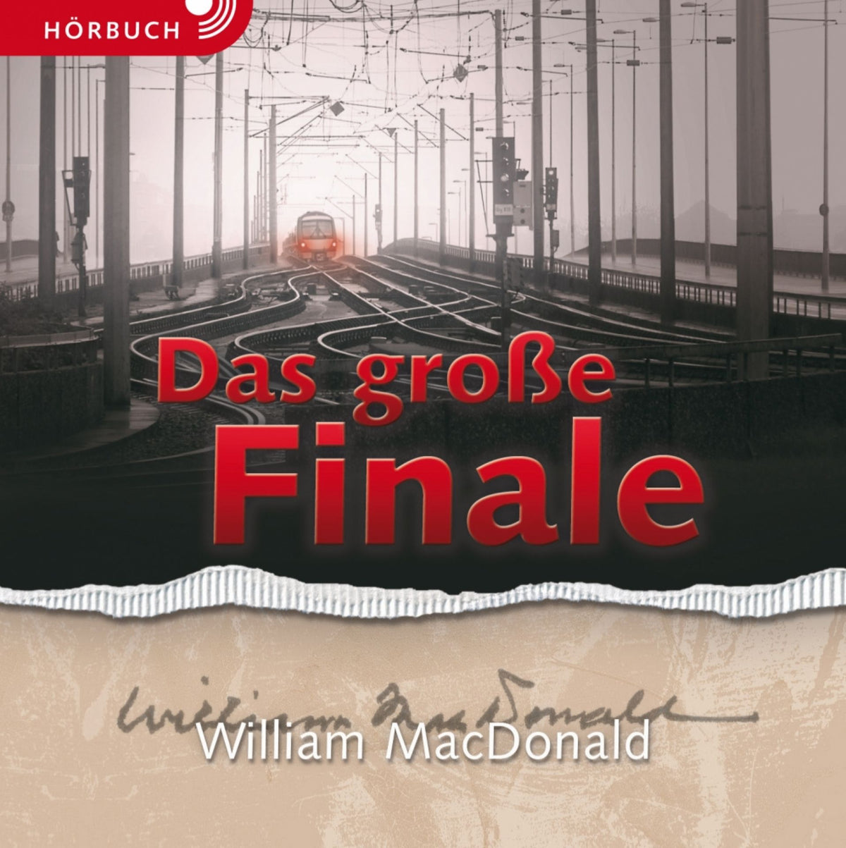 Das große Finale (Hörbuch) MP3-Download