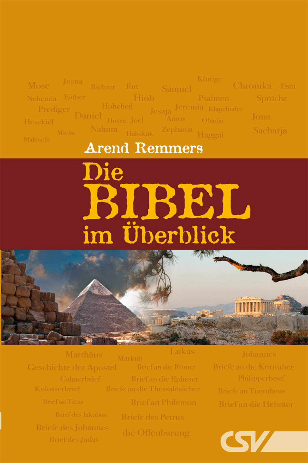 Die Bibel im Überblick (eBook)
