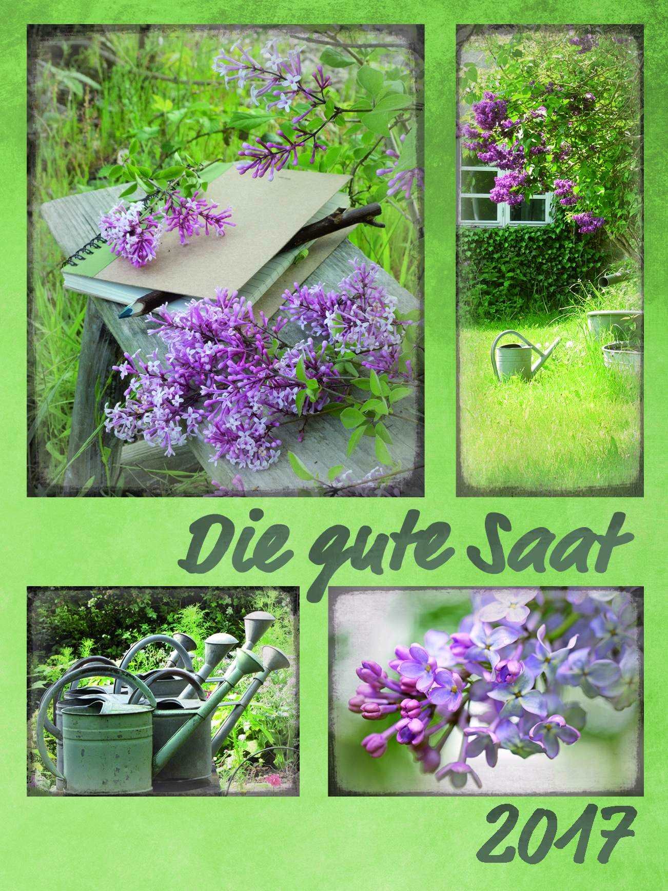 Die gute Saat 2017