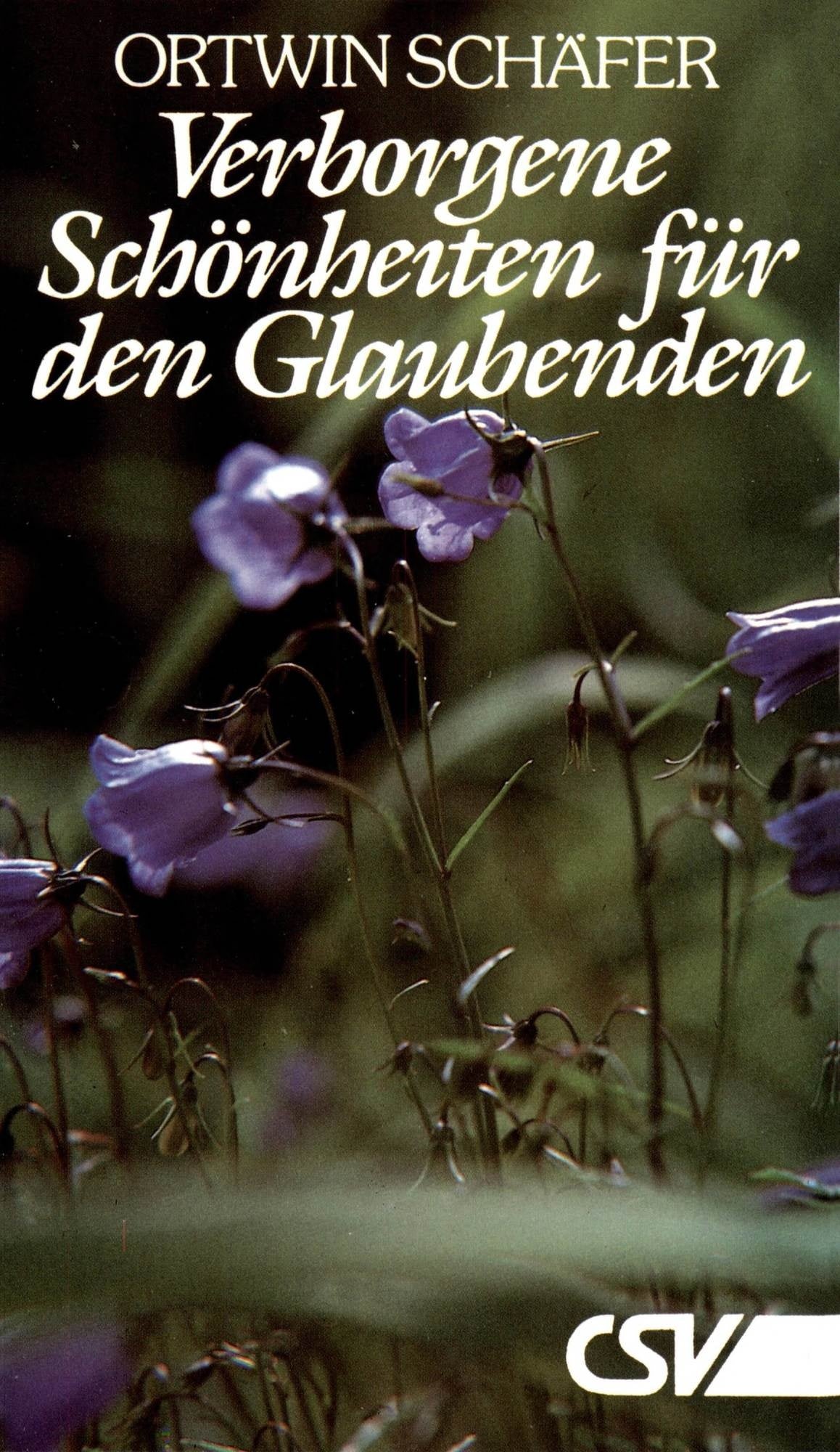 Verborgene Schönheiten für den Glaubenden (eBook)