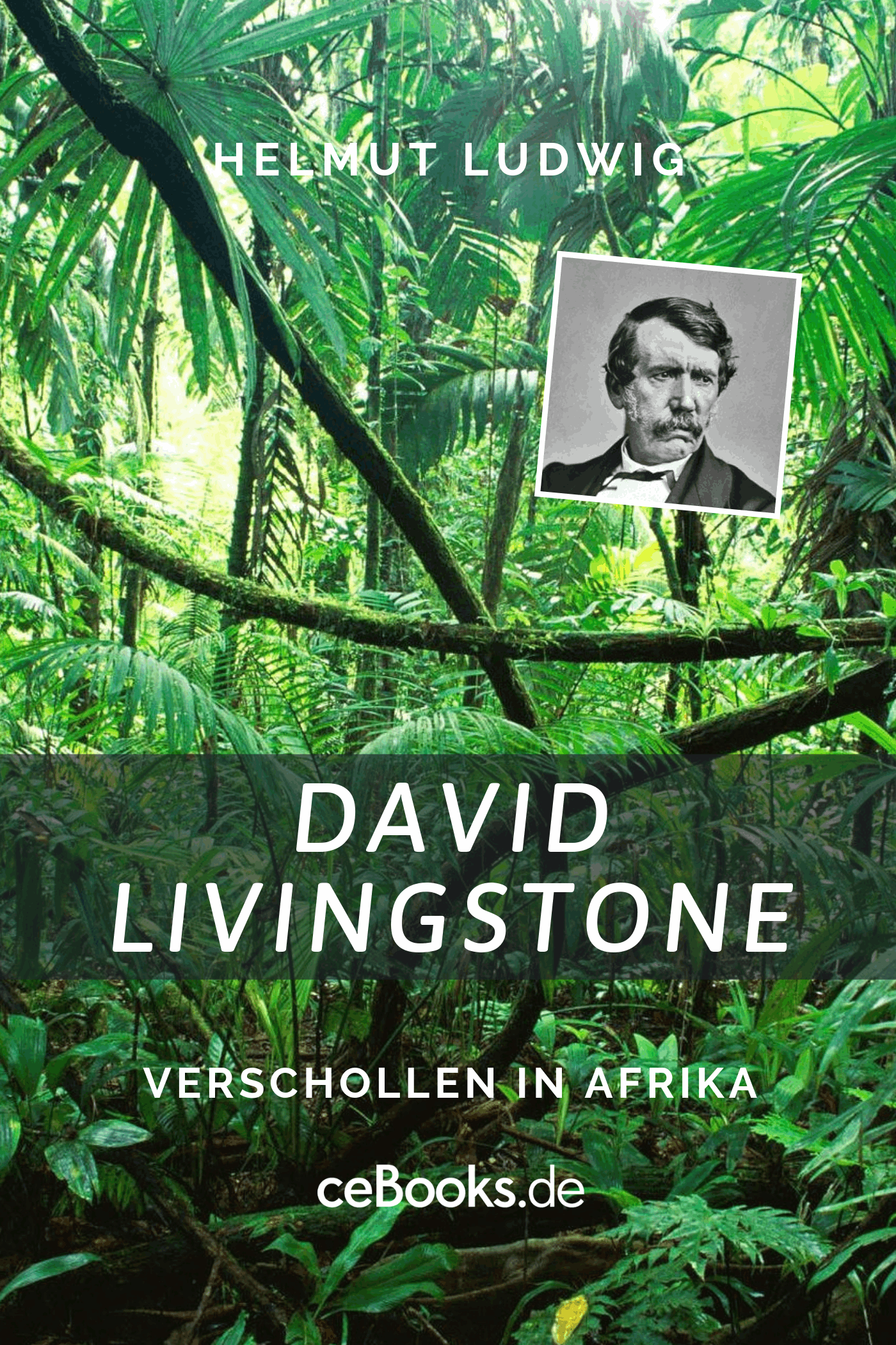 David Livingstone