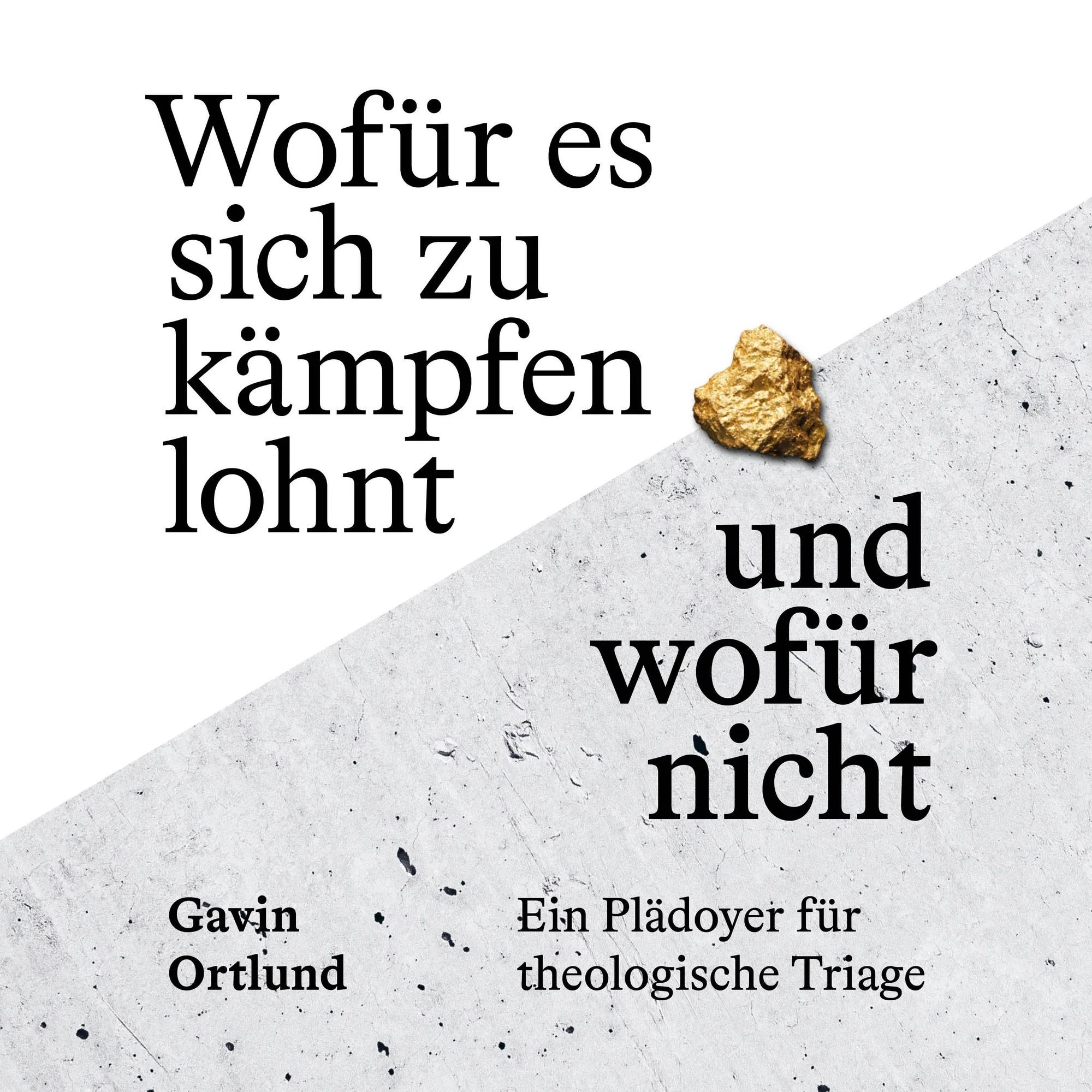 Wofür es sich zu kämpfen lohnt – und wofür nicht (Hörbuch) MP3-Download