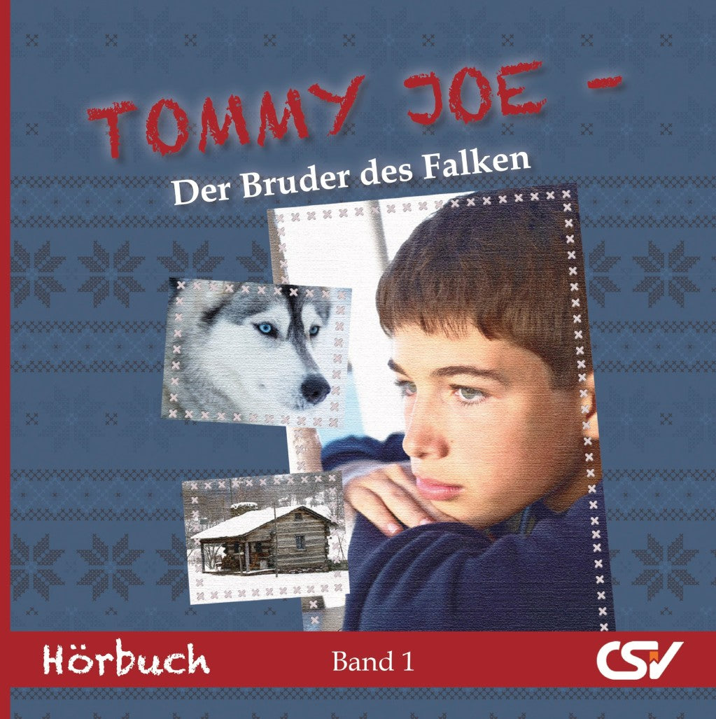 Tommy Joe (1) Der Bruder des Falken (Hörbuch) MP3-Download