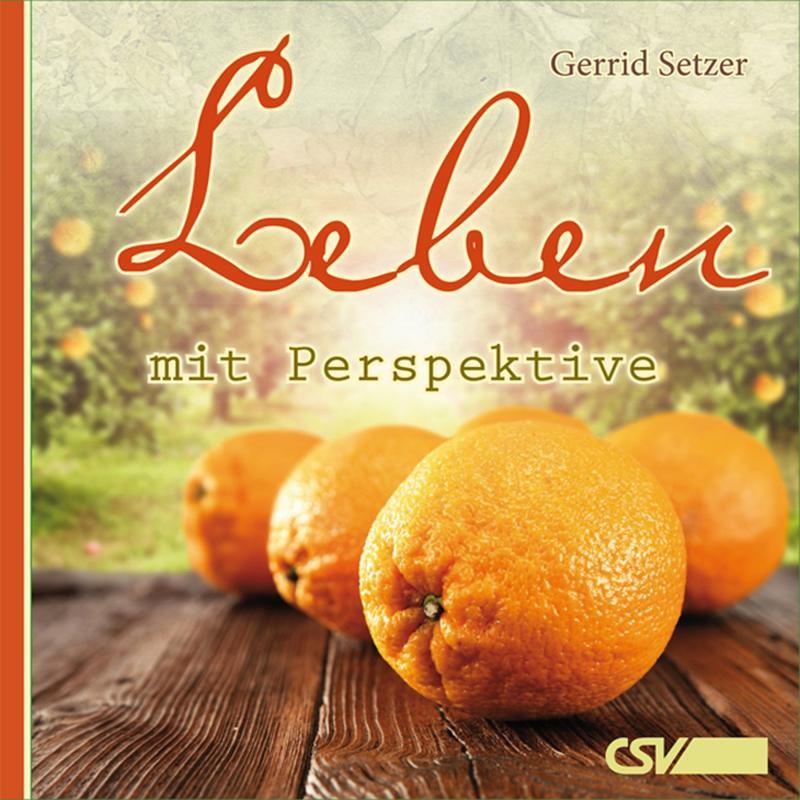 Leben mit Perspektive (Hörbuch) MP3-Download