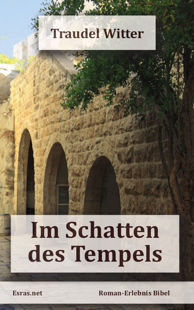 Im Schatten des Tempels (eBook)