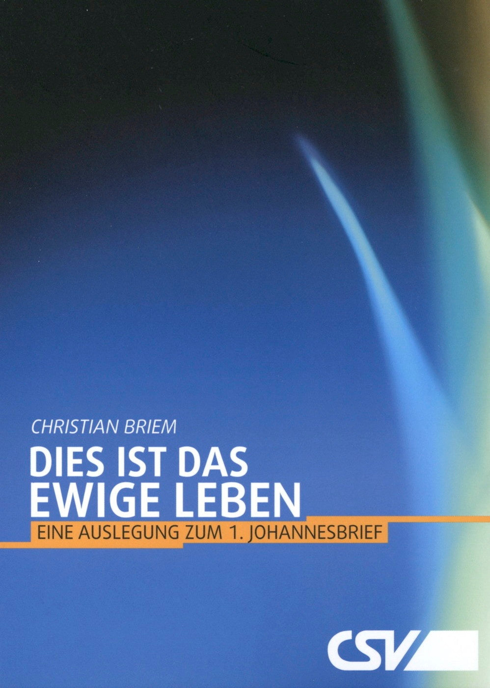 Dies ist das ewige Leben (eBook)