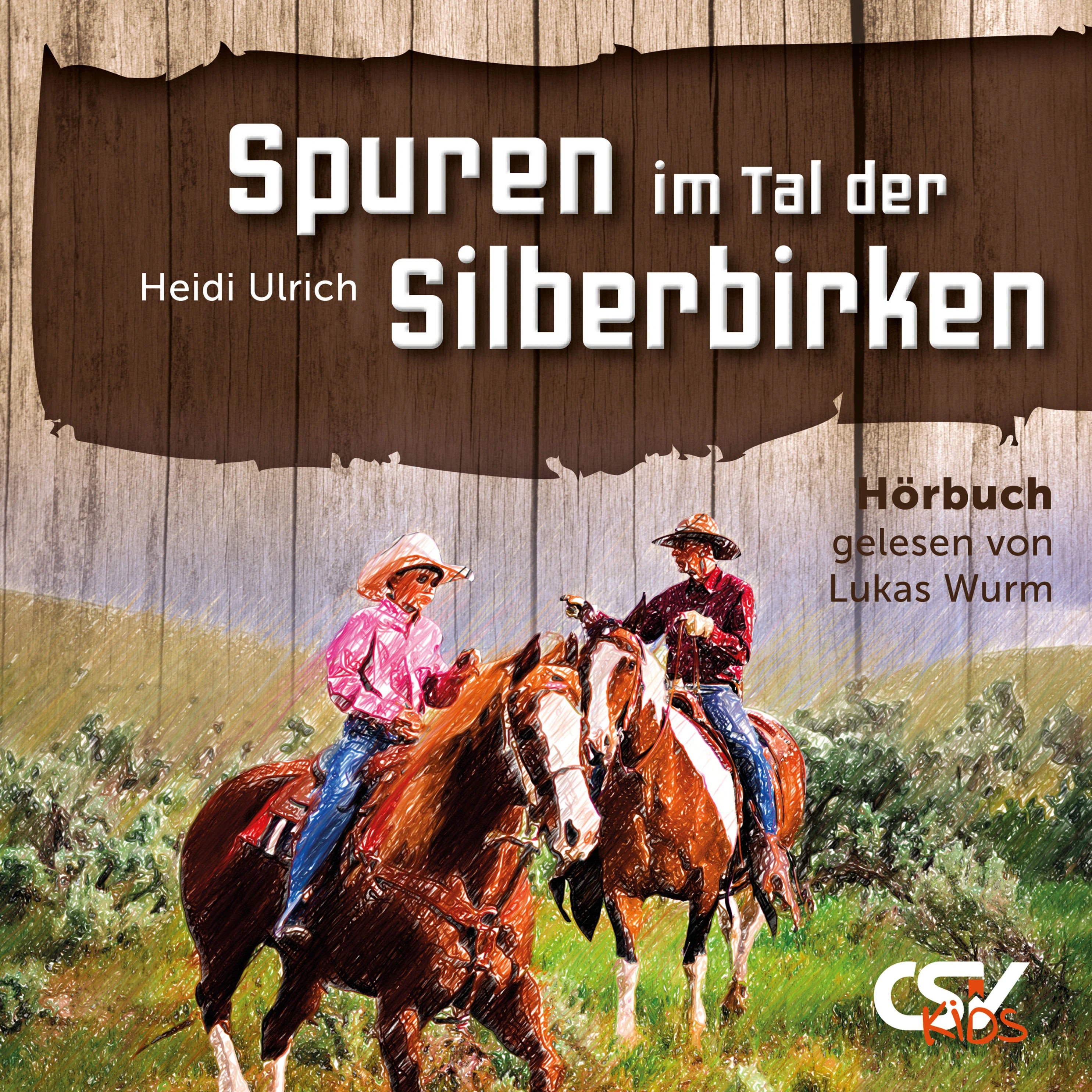 Josch (3) Spuren im Tal der Silberbirken (Hörbuch) MP3-Download