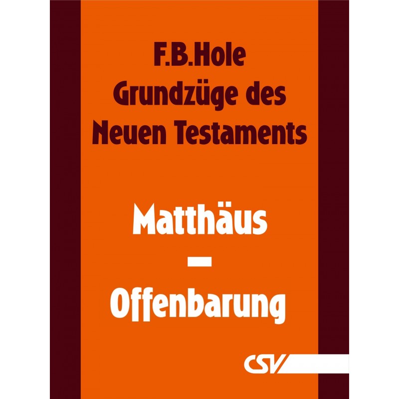 Grundzüge des Neuen Testaments - komplettes NT (eBook)