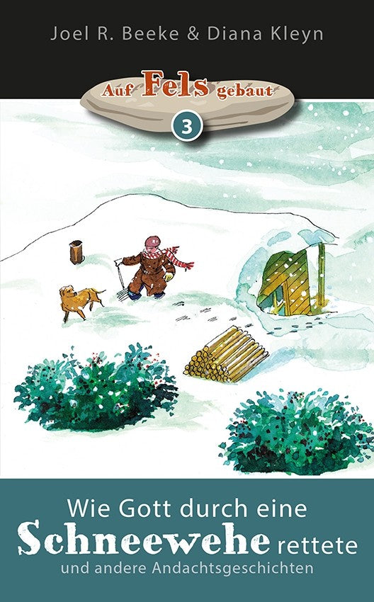 Wie Gott durch eine Schneewehe rettete (eBook)