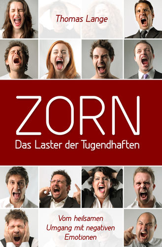 ZORN - Das Laster der Tugendhaften (eBook)