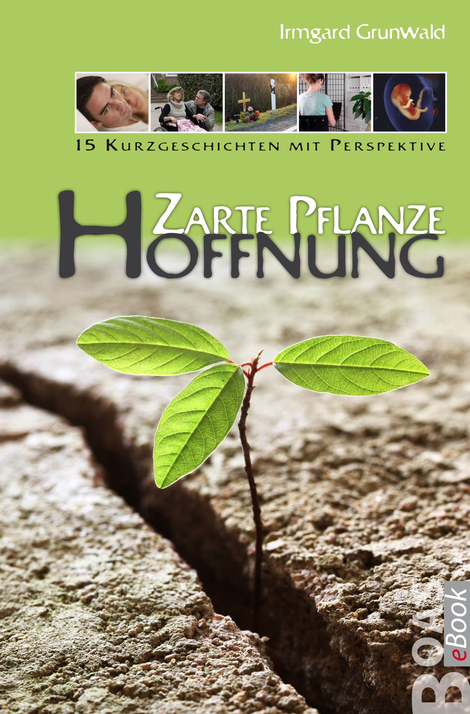 Zarte Pflanze Hoffnung (eBook)