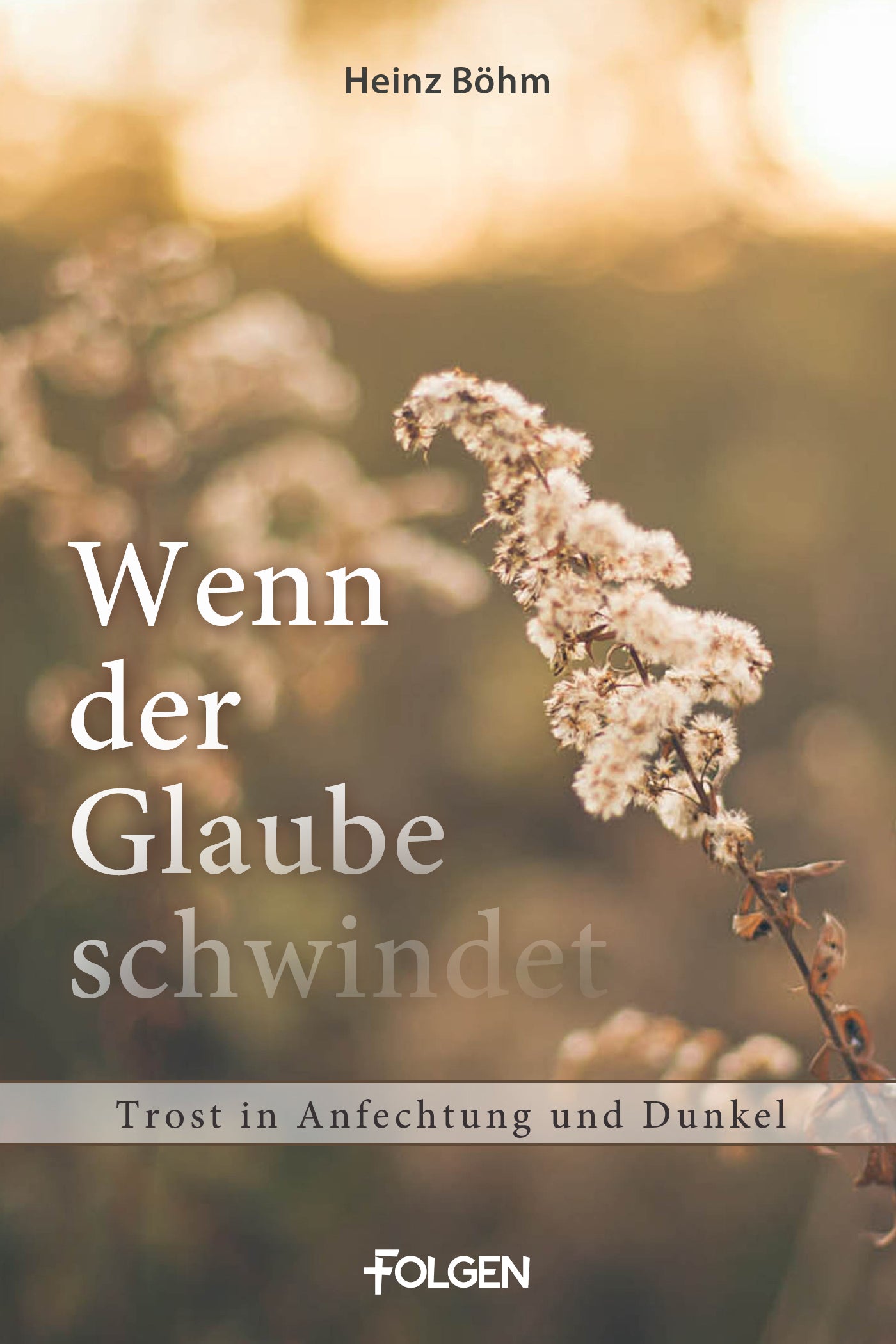 Wenn der Glaube schwindet (eBook)