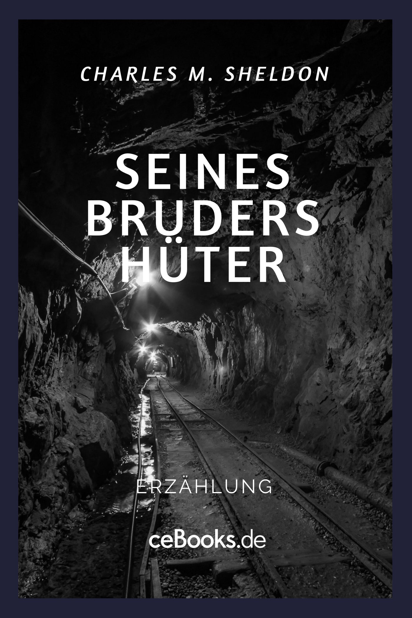 Seines Bruders Hüter (eBook)