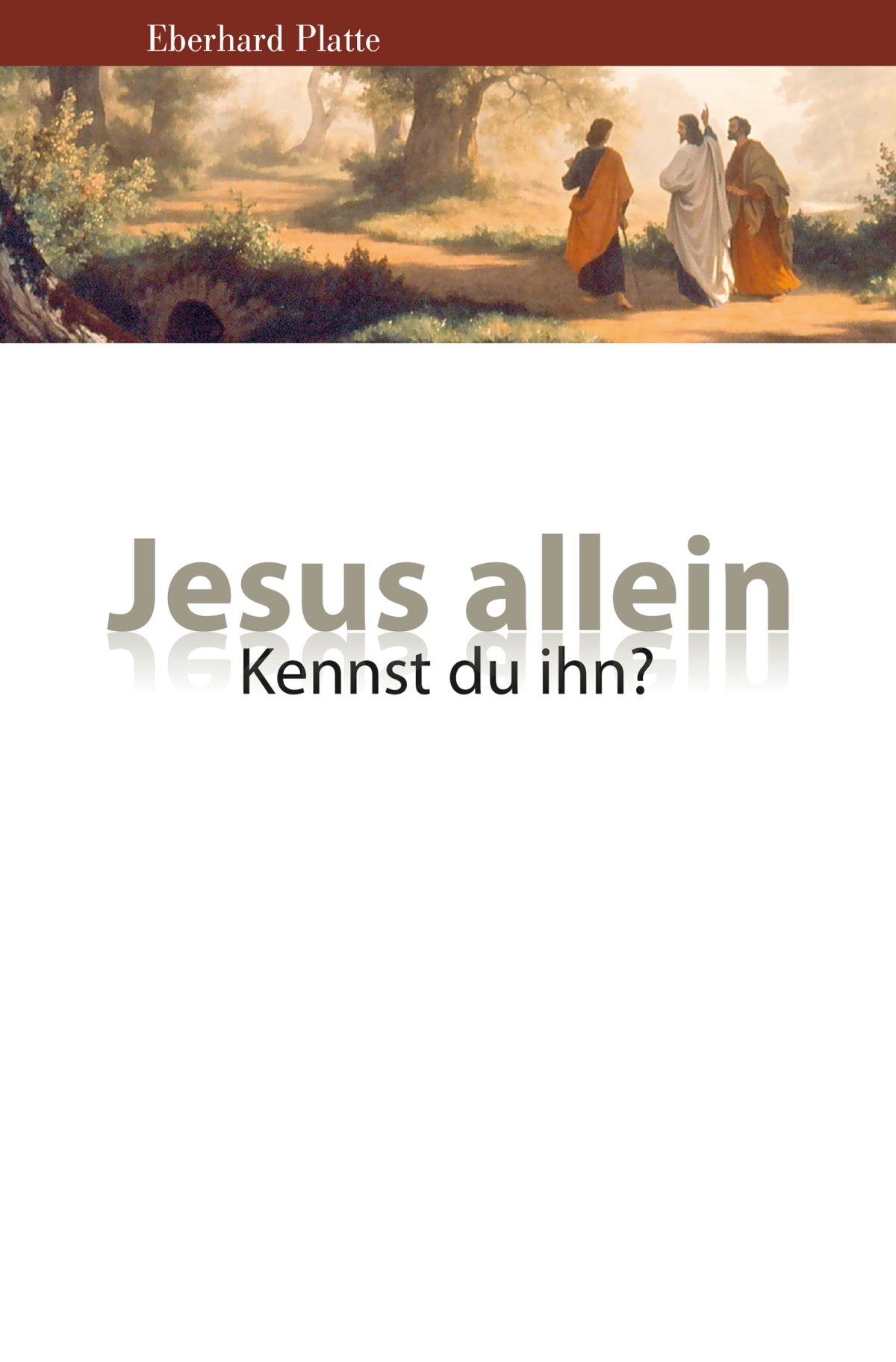 Jesus allein (eBook)