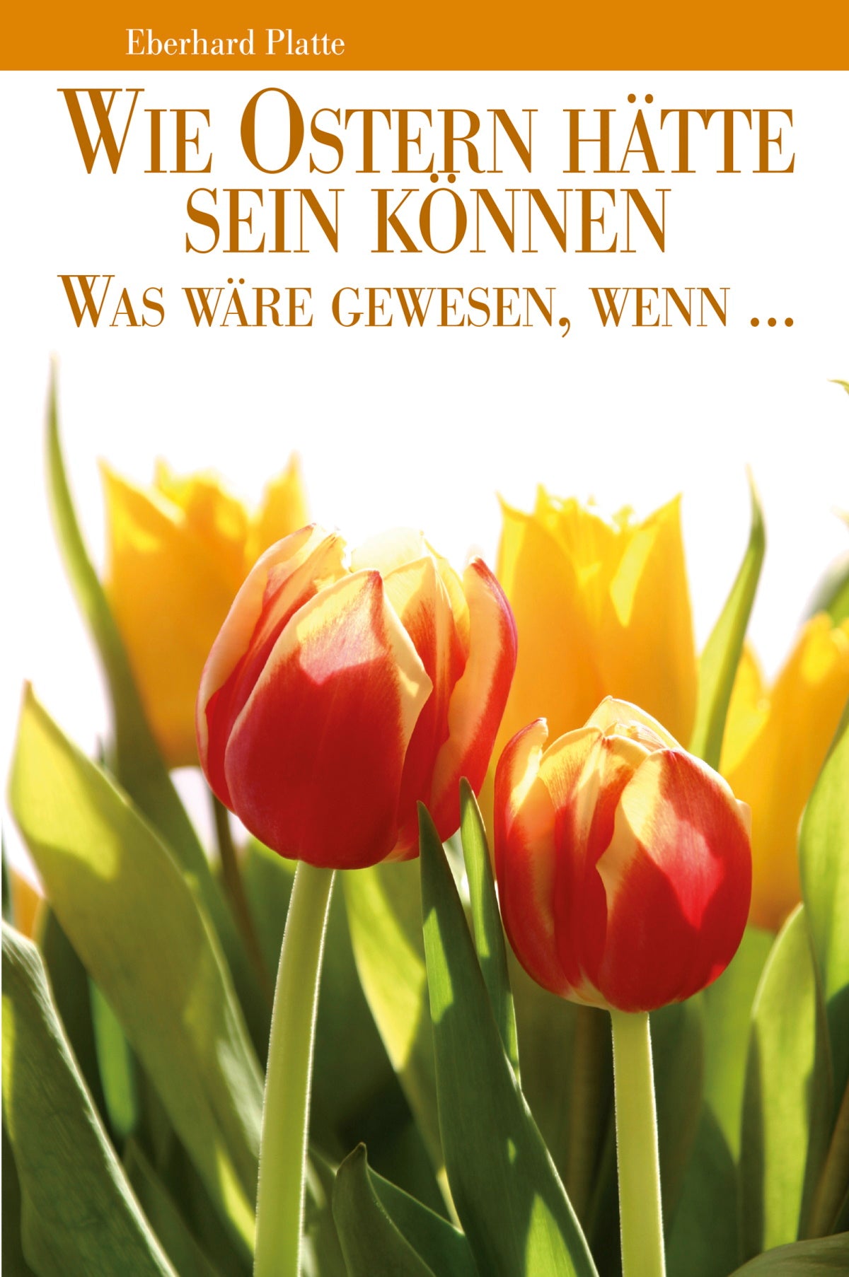 Wie Ostern hätte sein können (eBook)
