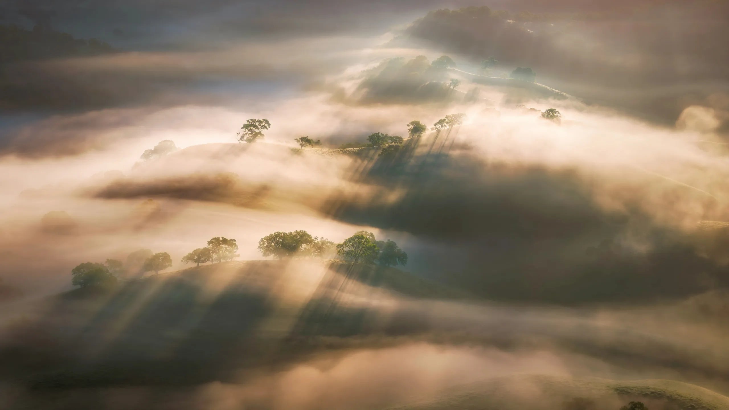 Warum sollte man Biografien und Lebensbilder lesen?