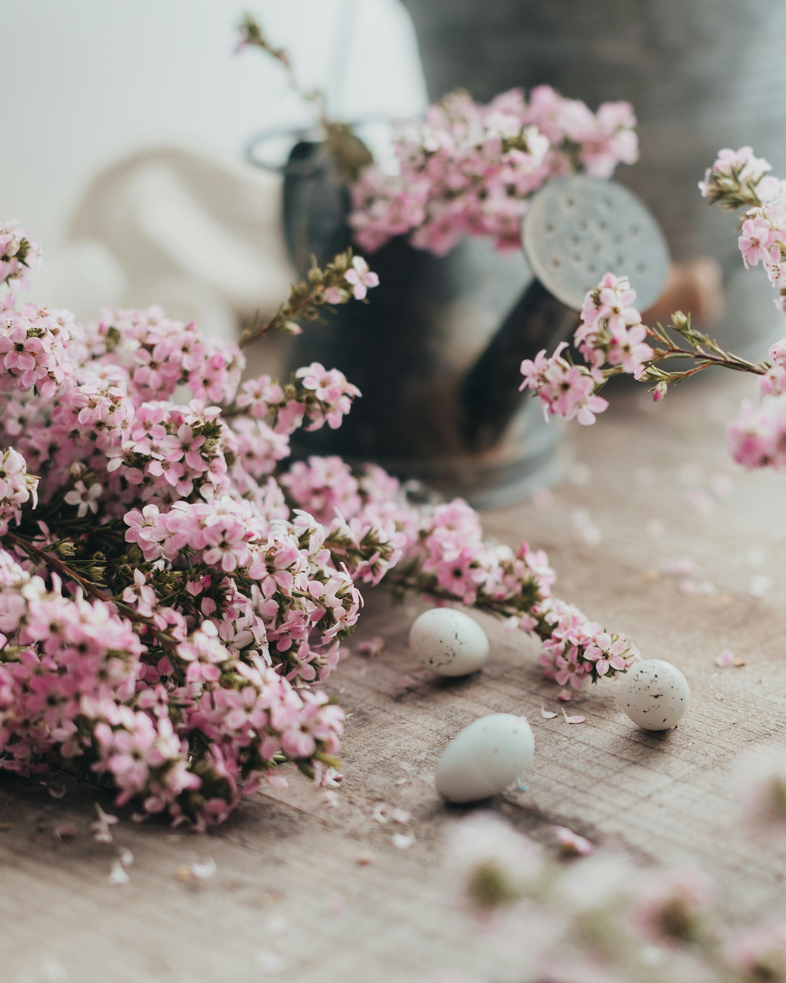 Passion und Ostern