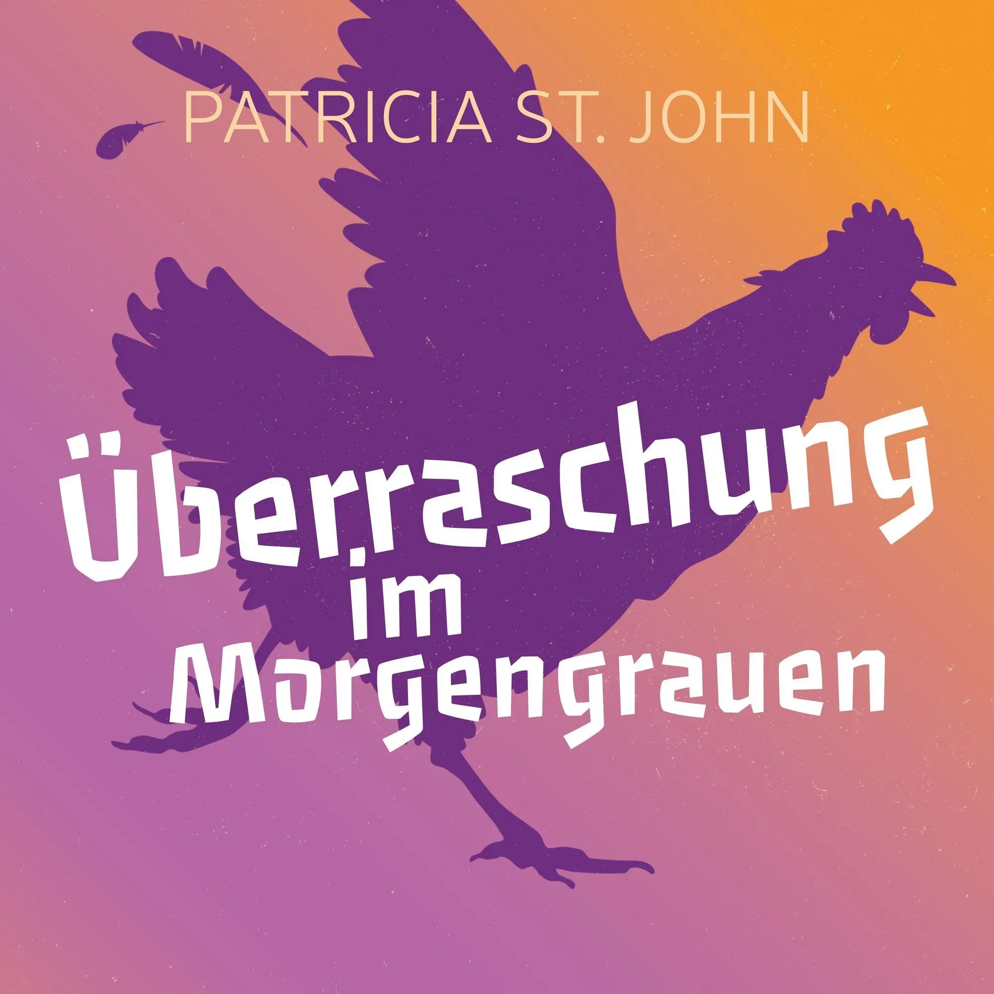 Überraschung im Morgengrauen (Hörbuch) MP3-Download