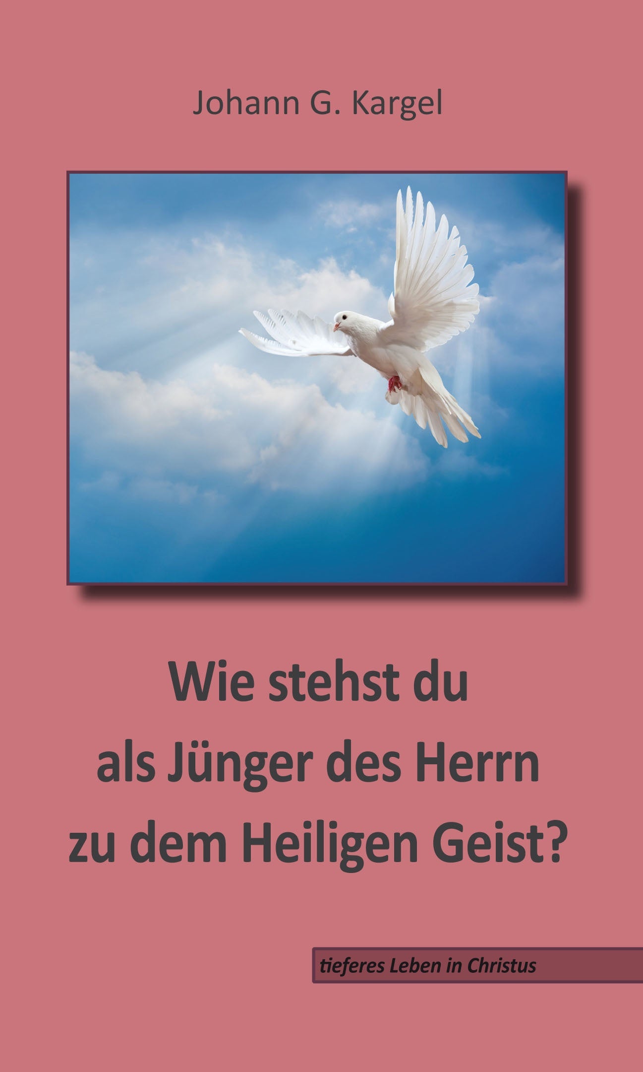 Wie stehst Du als Jünger des Herrn zum Heiligen Geist? (eBook)