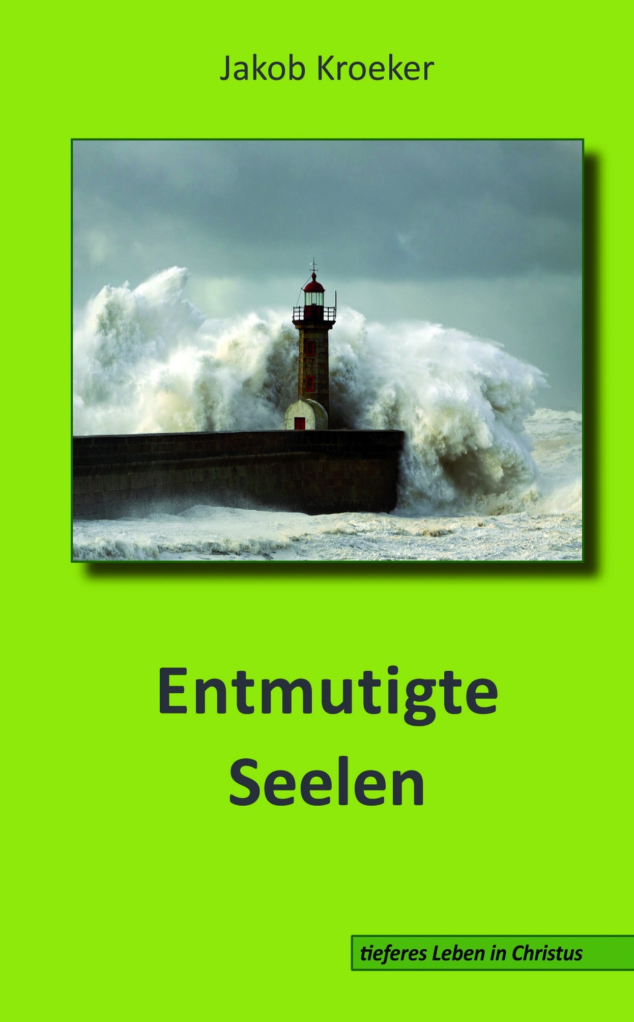 Entmutigte Seelen (eBook)