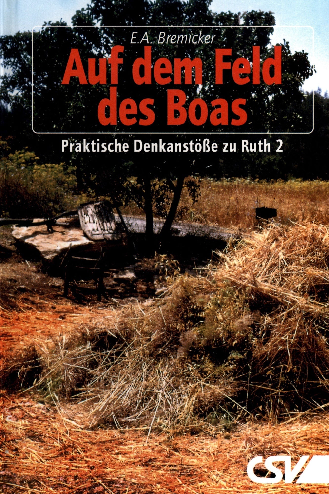Auf dem Feld des Boas (eBook)