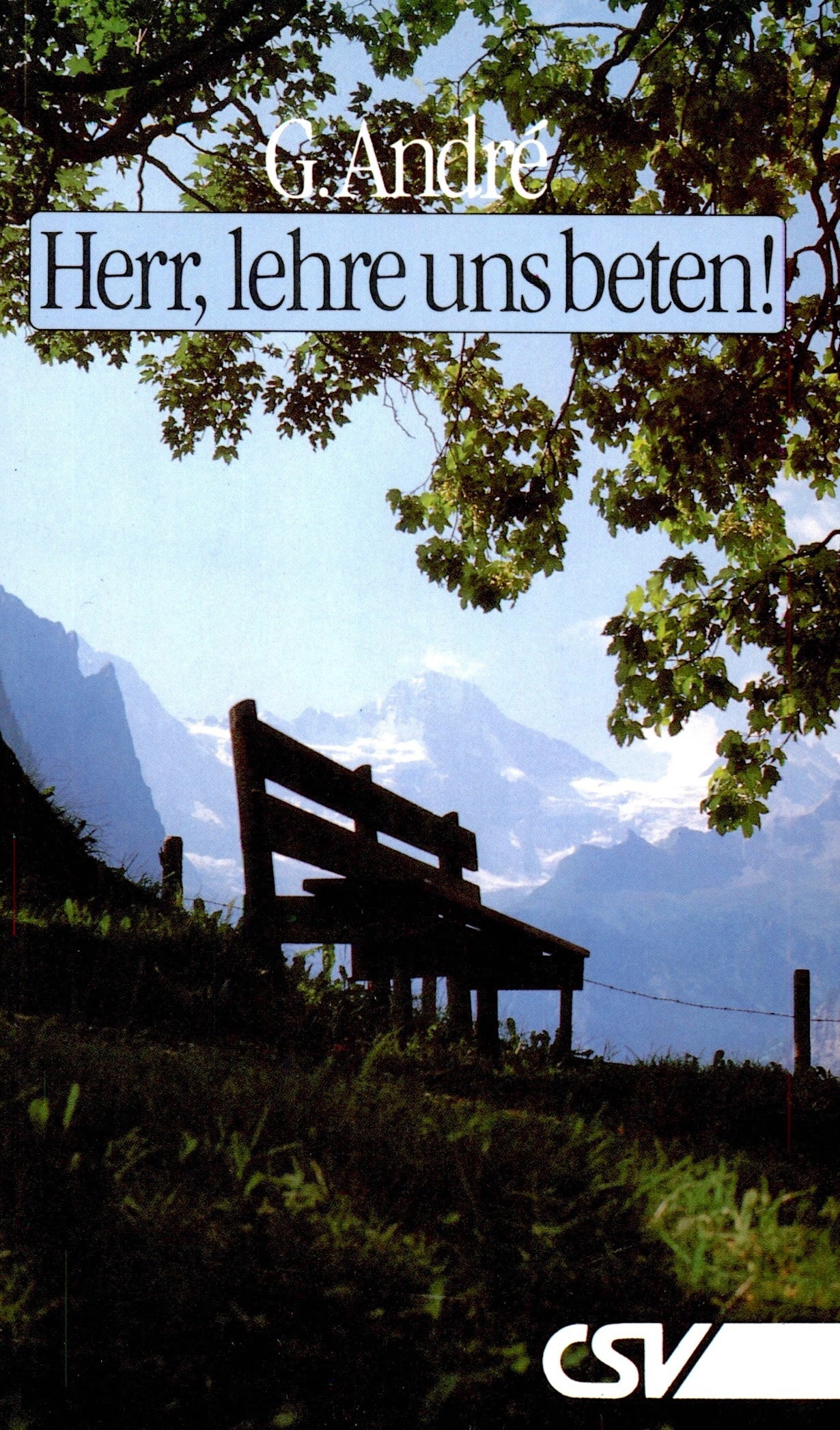 Herr, lehre uns beten (eBook)