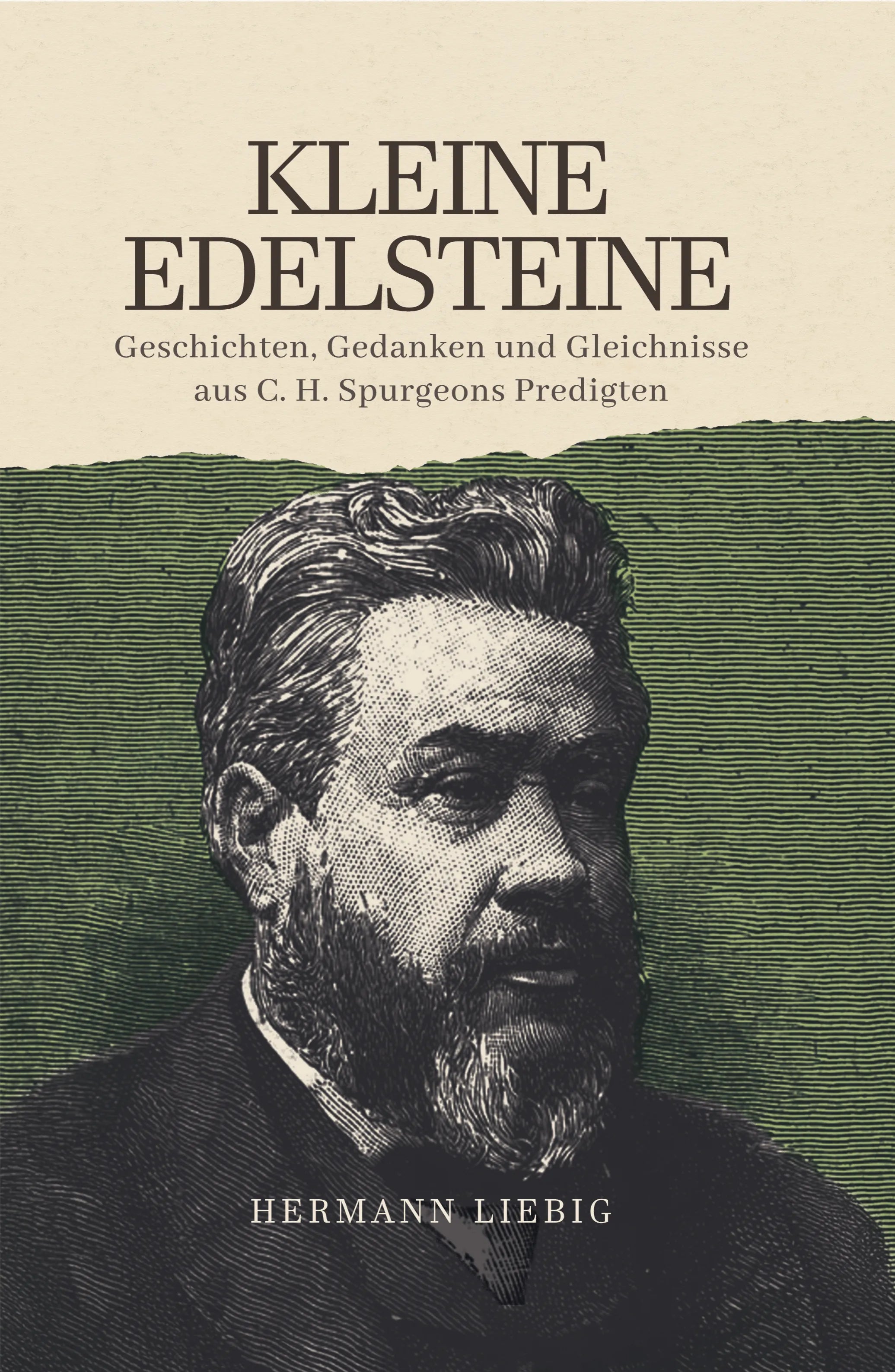 Kleine Edelsteine (eBook)
