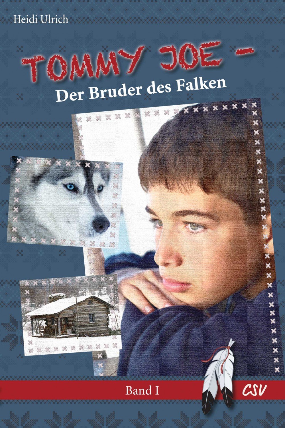Tommy Joe (1) Der Bruder des Falken (eBook)