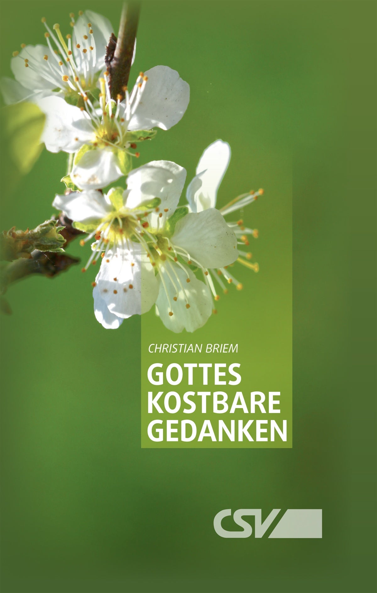Gottes kostbare Gedanken (eBook)