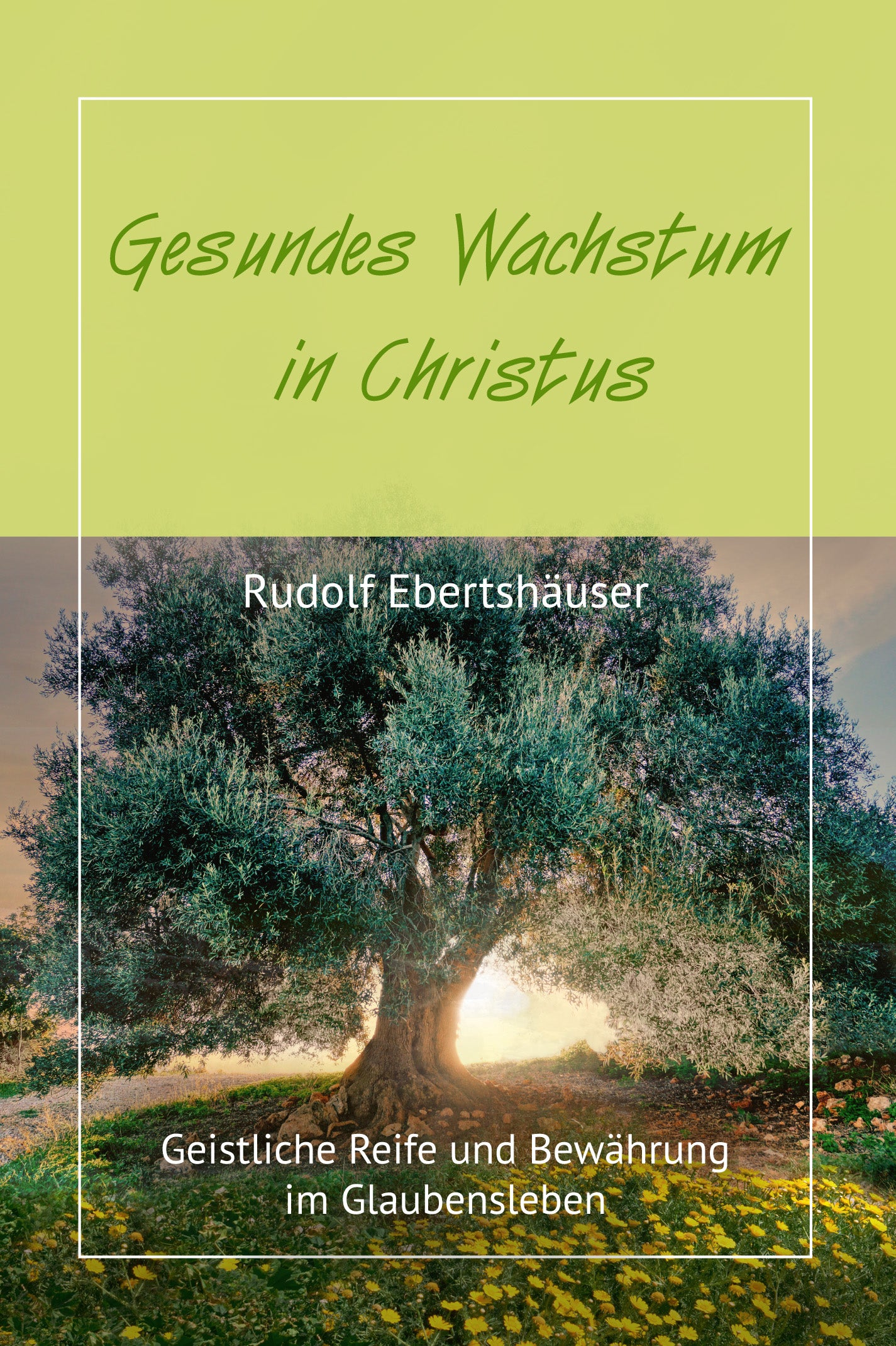 Gesundes Wachstum in Christus (eBook)