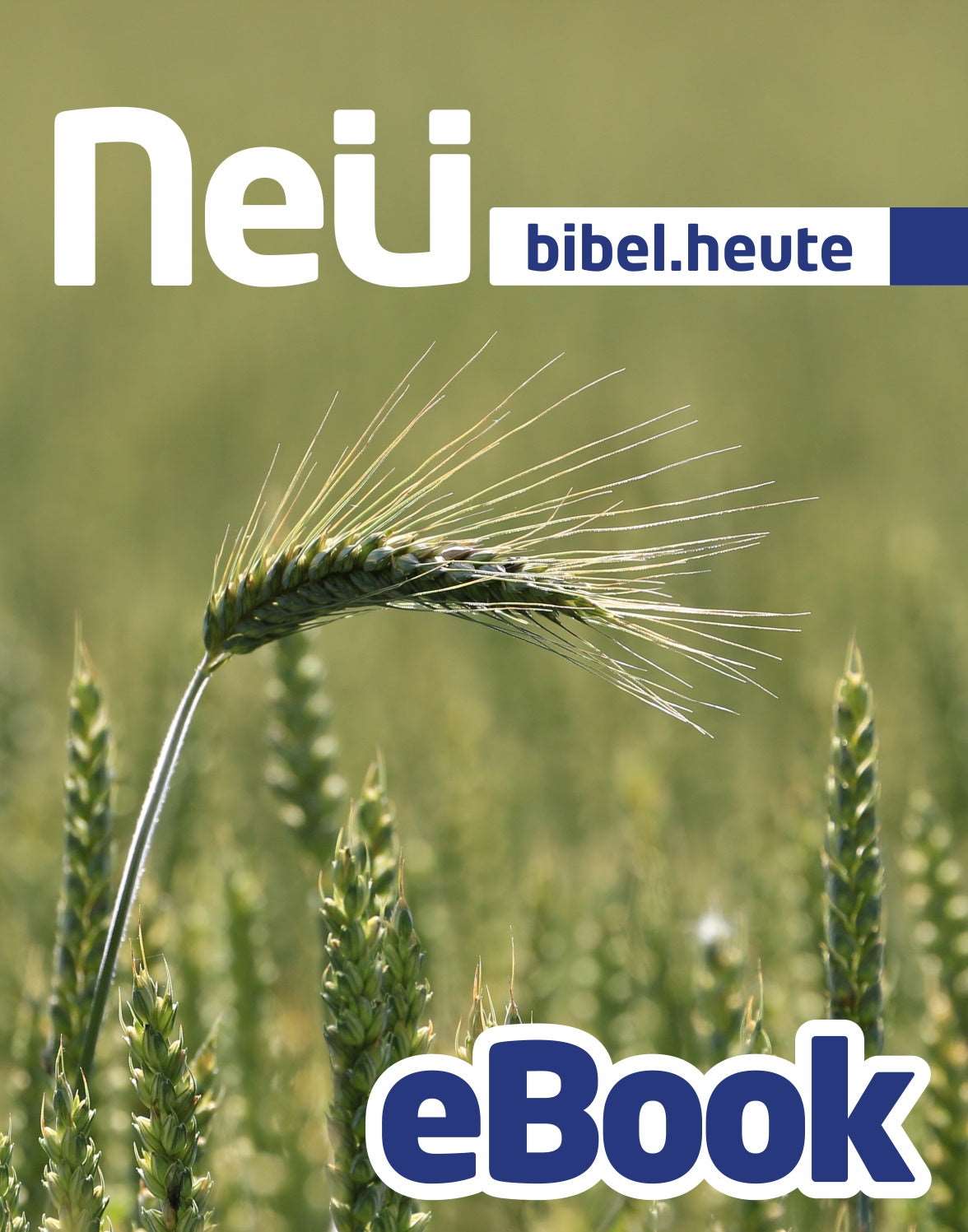NeÜ bibel.heute, AT und NT