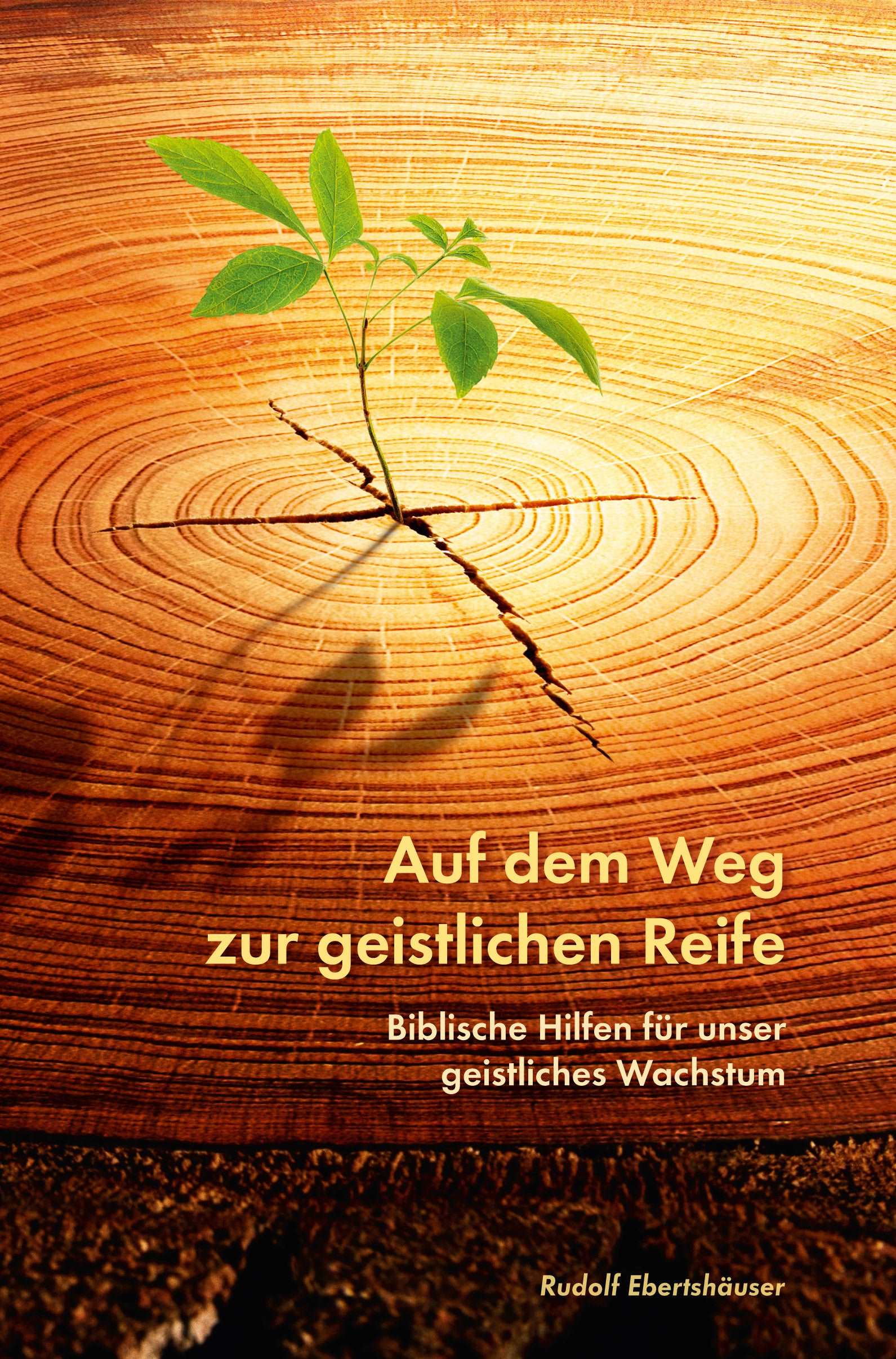 Auf dem Weg zur geistlichen Reife