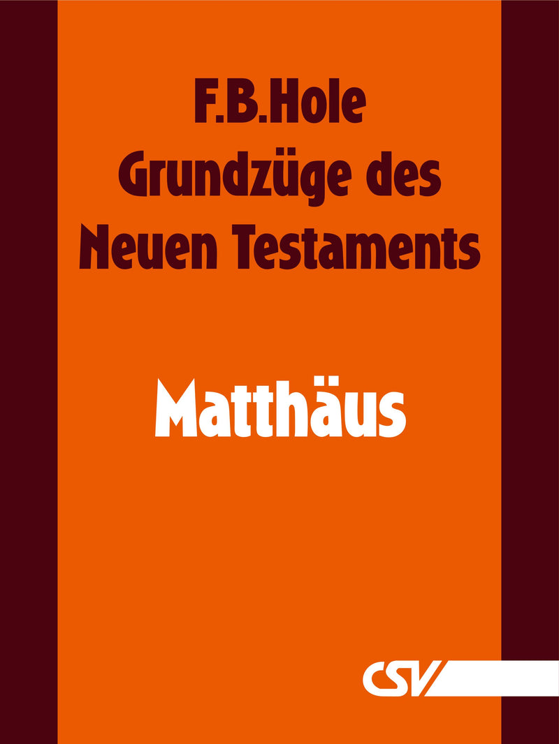 Grundzüge des Neuen Testaments - Matthäus