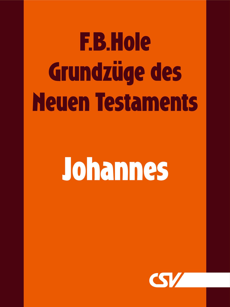 Grundzüge des Neuen Testaments - Johannes