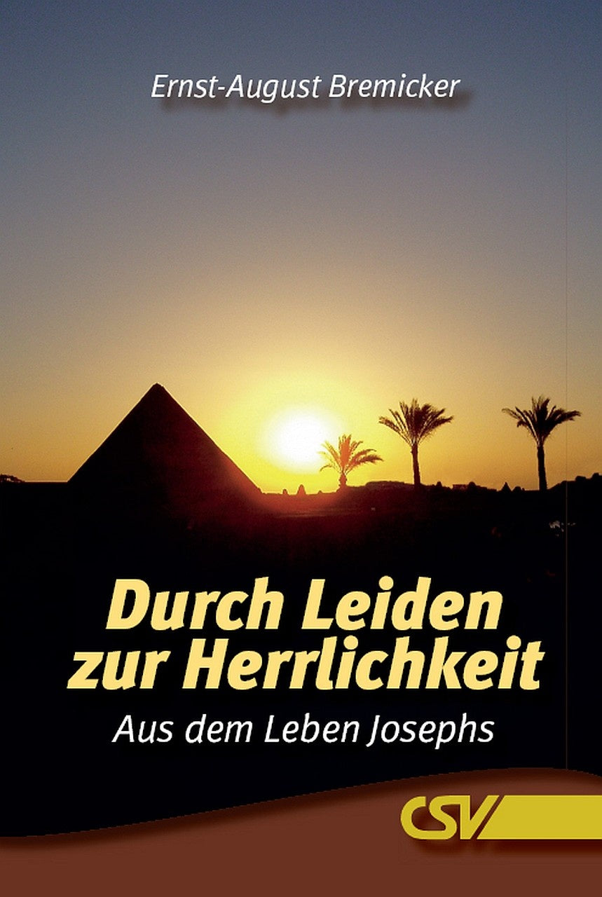 Durch Leiden zur Herrlichkeit (eBook)