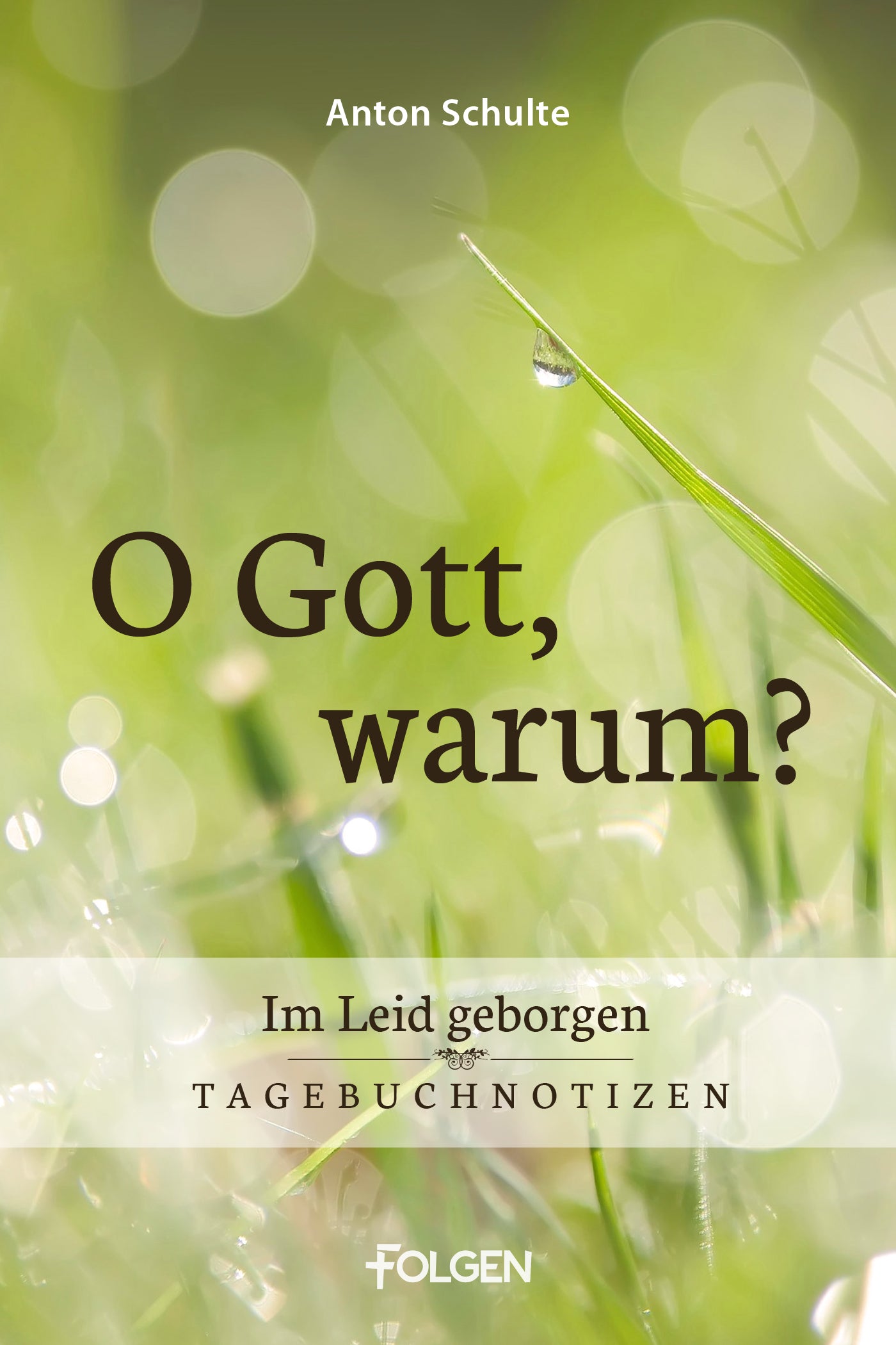 O Gott, warum? (eBook)