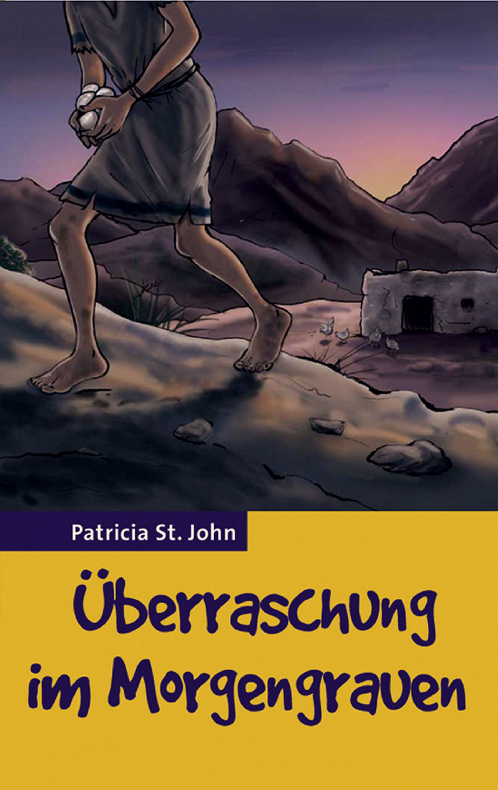 Überraschung im Morgengrauen (eBook)